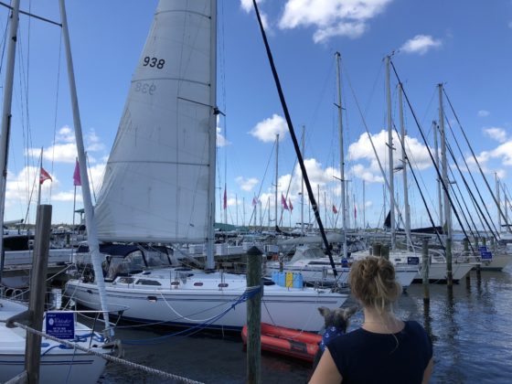 Photo of Jordan and Monster looking off at sailboats in the background